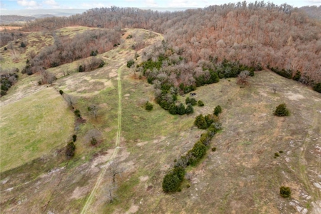 Carroll County 172+ Acre Farm and Hunting Property For Sale - image 45