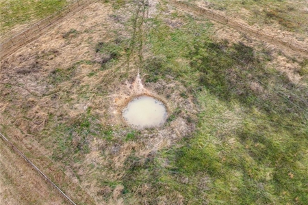 Carroll County 172+ Acre Farm and Hunting Property For Sale - image 41