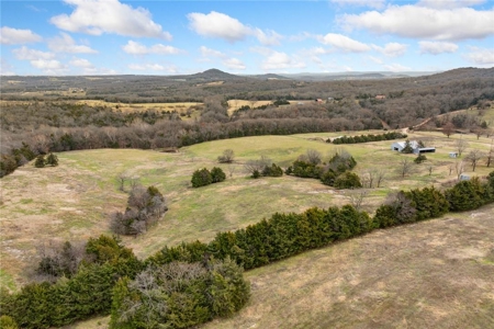 Carroll County 172+ Acre Farm and Hunting Property For Sale - image 8