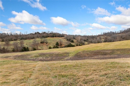 Carroll County 172+ Acre Farm and Hunting Property For Sale - image 6
