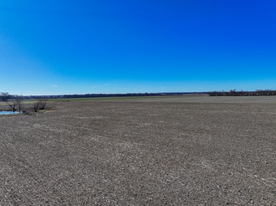 230+\- acres for auction Lamar MO - image 4