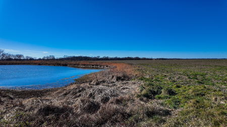 230+\- acres for auction Lamar MO - image 15