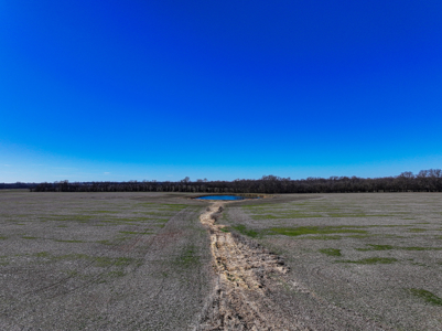 230+\- acres for auction Lamar MO - image 5