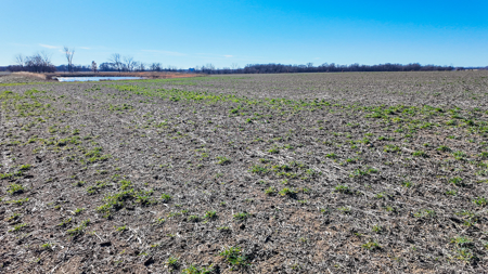 230+\- acres for auction Lamar MO - image 9