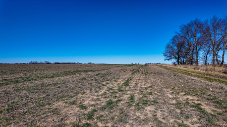 230+\- acres for auction Lamar MO - image 6