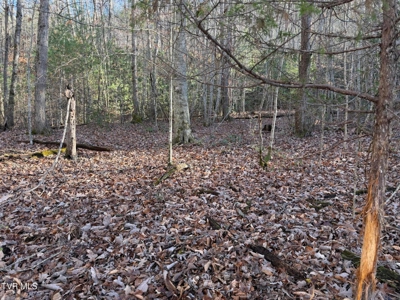 3 Bedroom 3 Bath Home for sale in Unicoi County, TN - image 2