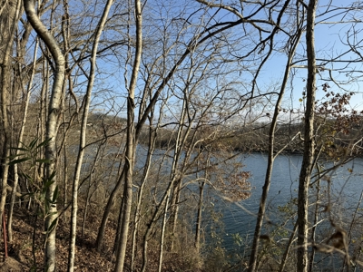 Riverfront Lot on the White River in Guion Arkansas - image 20