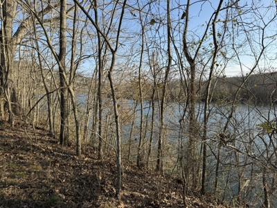 Riverfront Lot on the White River in Guion Arkansas - image 18