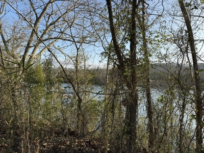 Riverfront Lot on the White River in Guion Arkansas - image 14