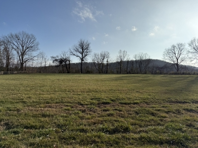 Level riverfront lot on the White River in Guion Arkansas - image 15
