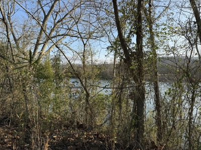 Level riverfront lot on the White River in Guion Arkansas - image 17