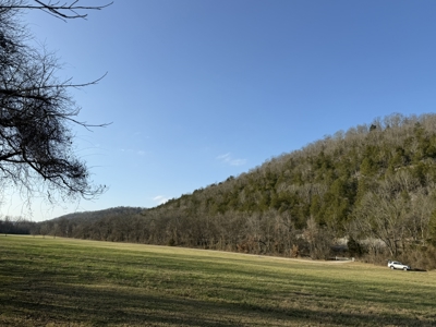 Level riverfront lot on the White River in Guion Arkansas - image 8
