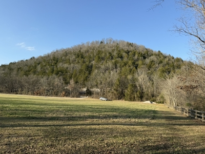 Level riverfront lot on the White River in Guion Arkansas - image 6