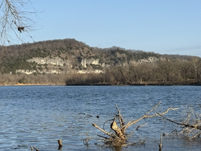 Level riverfront lot on the White River in Guion Arkansas - image 13