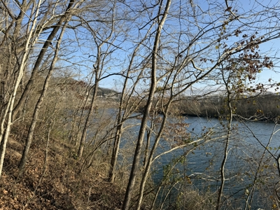 Level riverfront lot on the White River in Guion Arkansas - image 5