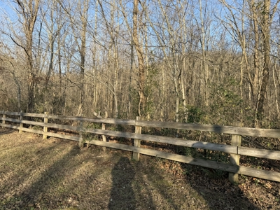 Level riverfront lot on the White River in Guion Arkansas - image 9