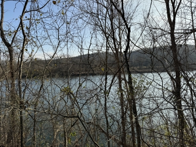 Level riverfront lot on the White River in Guion Arkansas - image 2