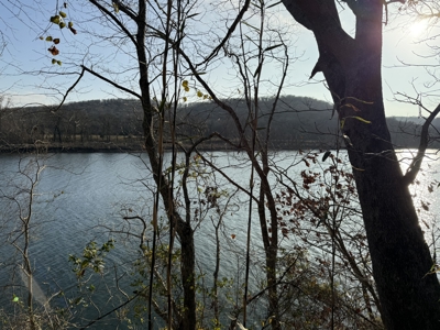 Level riverfront lot on the White River in Guion Arkansas - image 19