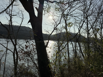 Level riverfront lot on the White River in Guion Arkansas - image 20