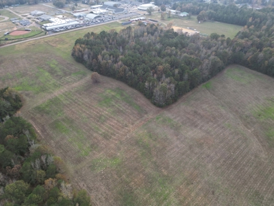 Prime 139 Acres in Fouke, AR –Build, Farm, or Hunt Near Texarkana - image 6