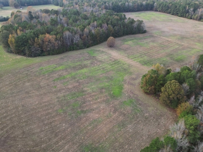 Prime 139 Acres in Fouke, AR –Build, Farm, or Hunt Near Texarkana - image 7
