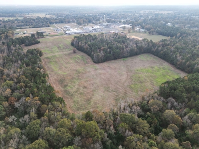 Prime 139 Acres in Fouke, AR –Build, Farm, or Hunt Near Texarkana - image 5