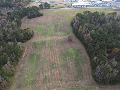 Prime 139 Acres in Fouke, AR –Build, Farm, or Hunt Near Texarkana - image 3