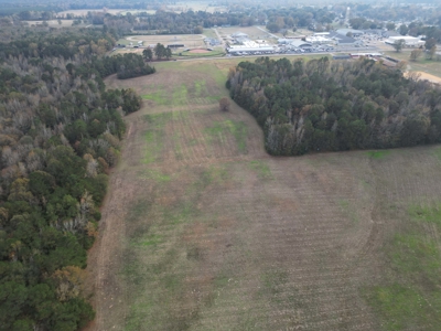 Prime 139 Acres in Fouke, AR –Build, Farm, or Hunt Near Texarkana - image 4