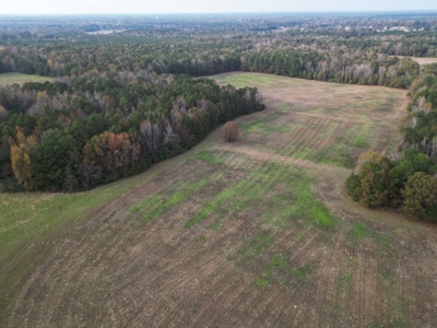 Prime 139 Acres in Fouke, AR –Build, Farm, or Hunt Near Texarkana - image 8