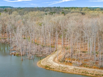 208 East Texas Acres Stocked Lake Log Cabin Cattle Ranch Hunting - image 47