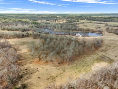 208 East Texas Acres Stocked Lake Log Cabin Cattle Ranch Hunting - image 49