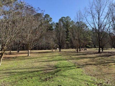 3 Bedroom Turnkey Riverfront Home For Sale in Millers Ferry, AL - image 19