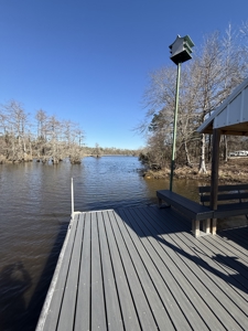 3 Bedroom Turnkey Riverfront Home For Sale in Millers Ferry, AL - image 15