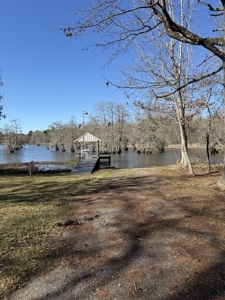 3 Bedroom Turnkey Riverfront Home For Sale in Millers Ferry, AL - image 11