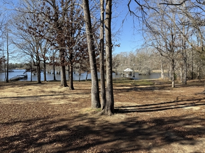 3 Bedroom Turnkey Riverfront Home For Sale in Millers Ferry, AL - image 17