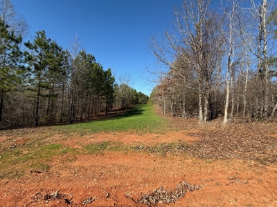 183 Acres for Sale in Moundville, Alabama - image 39