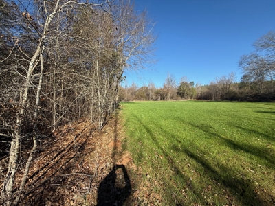 183 Acres for Sale in Moundville, Alabama - image 3