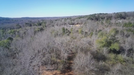 183 Acres for Sale in Moundville, Alabama - image 28