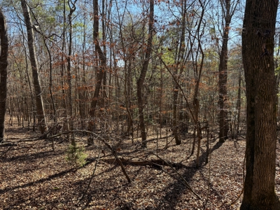 183 Acres for Sale in Moundville, Alabama - image 30