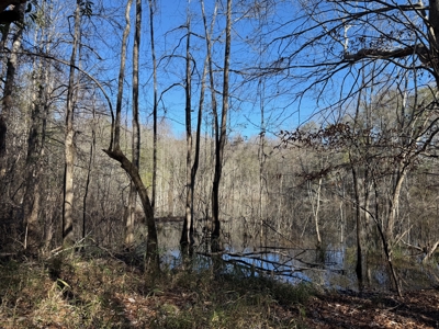 183 Acres for Sale in Moundville, Alabama - image 44