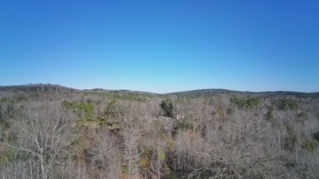 183 Acres for Sale in Moundville, Alabama - image 25