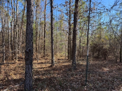 183 Acres for Sale in Moundville, Alabama - image 35