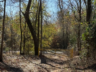 183 Acres for Sale in Moundville, Alabama - image 9