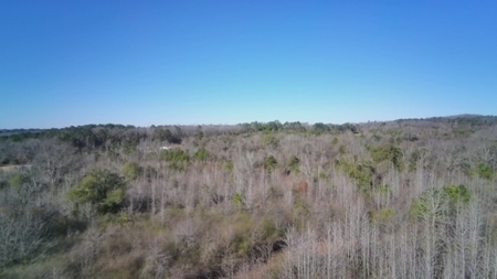 183 Acres for Sale in Moundville, Alabama - image 24