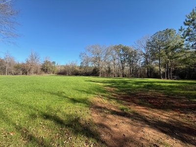 183 Acres for Sale in Moundville, Alabama - image 4