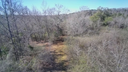 183 Acres for Sale in Moundville, Alabama - image 29