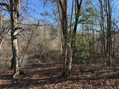 183 Acres for Sale in Moundville, Alabama - image 42