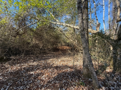 183 Acres for Sale in Moundville, Alabama - image 41