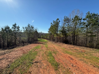 183 Acres for Sale in Moundville, Alabama - image 38