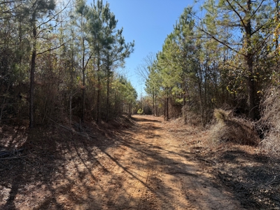 183 Acres for Sale in Moundville, Alabama - image 2